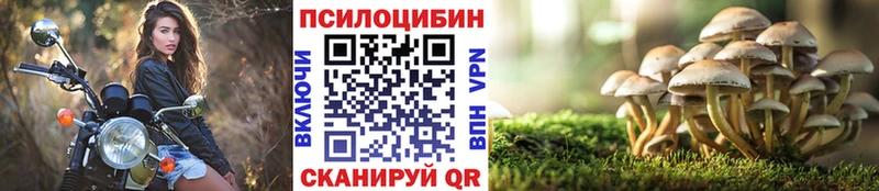 Галлюциногенные грибы Psilocybine cubensis  Купить закладки  Иланский 